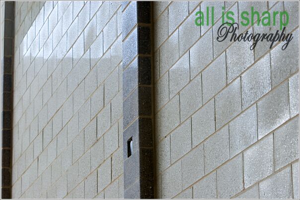Arch Det 011
